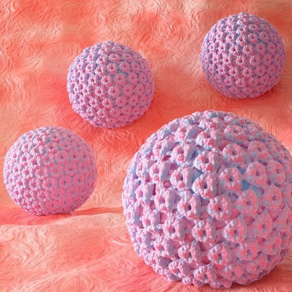 Papiloma Virus Tratamiento Quito Dr. Ricardo Miranda2-min